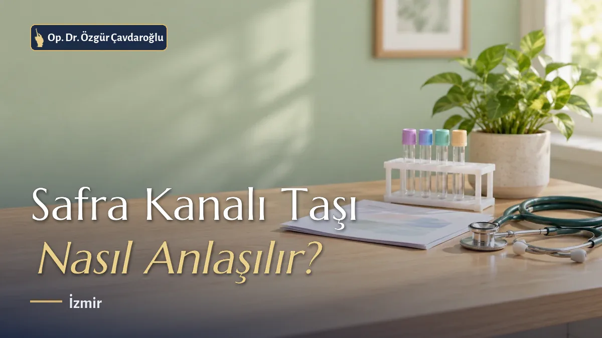 Safra yolu taşı MRCP ve kan testi