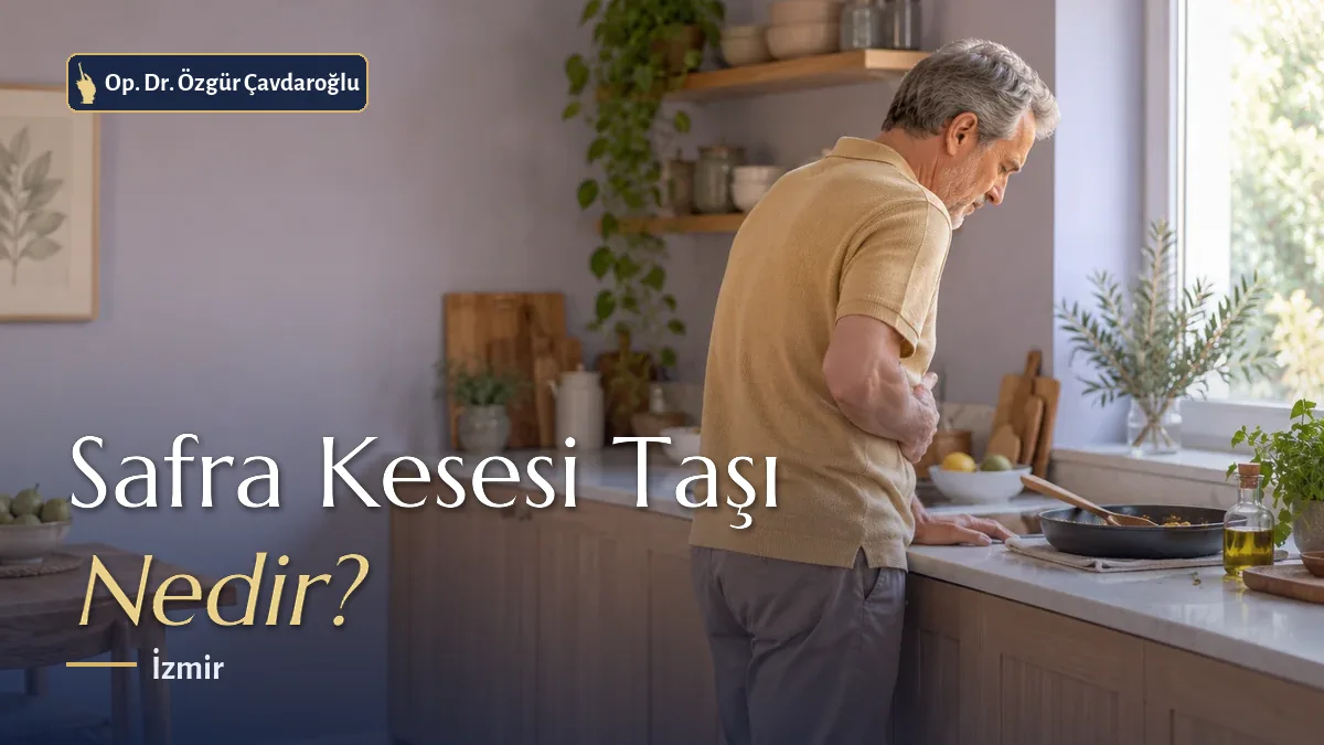 Safra kesesi taşı nedir